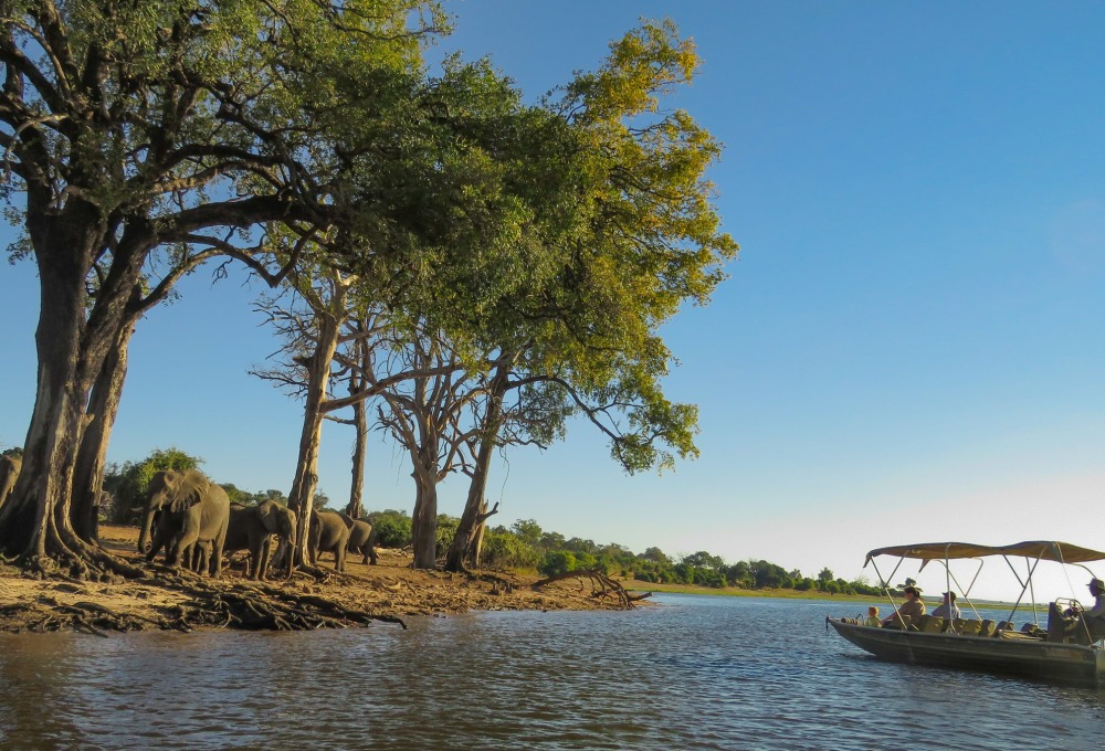 Boots-Safari auf dem Chobe Fluss